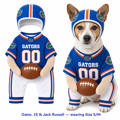 NFL Football Dog Costume™