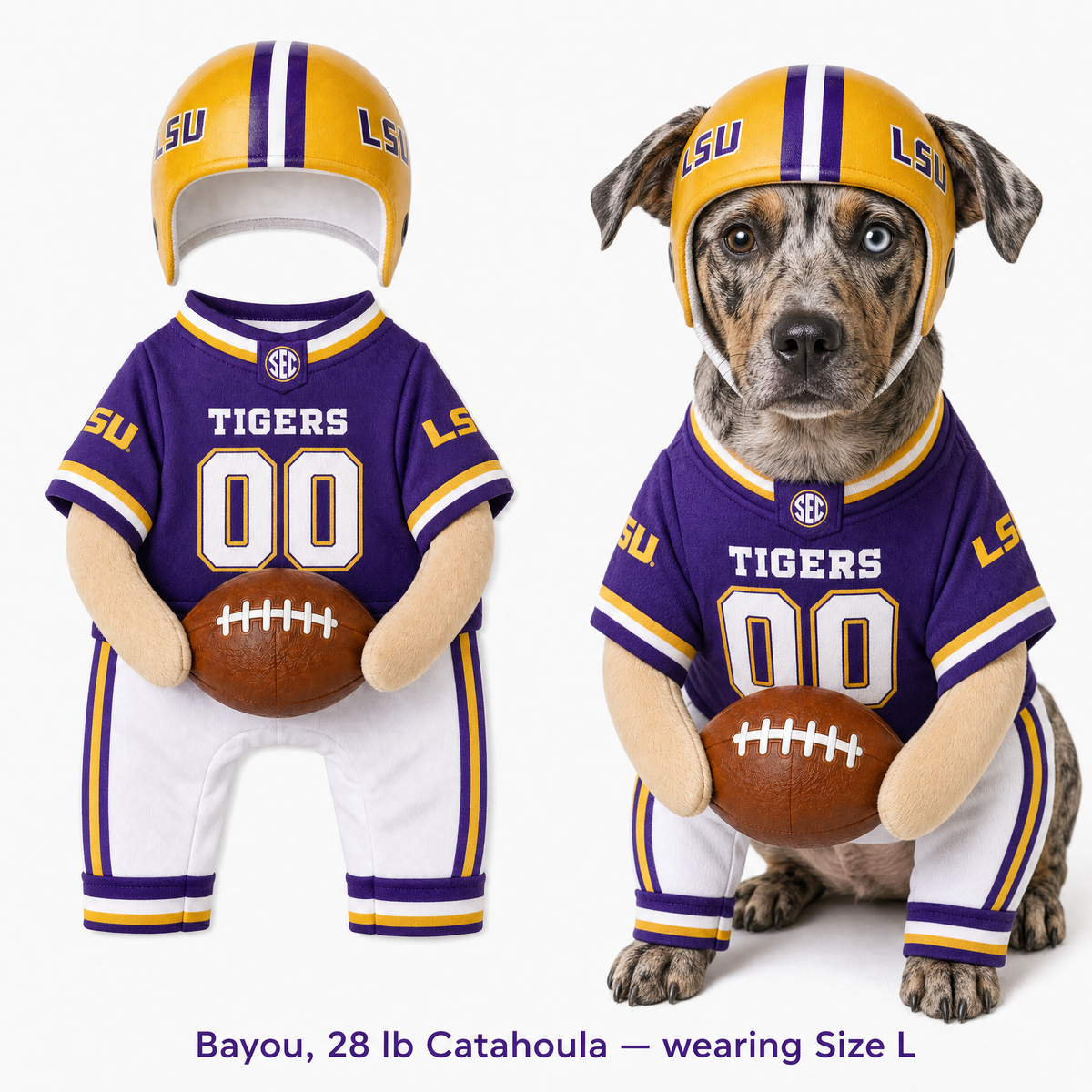 College Football Dog Costume™