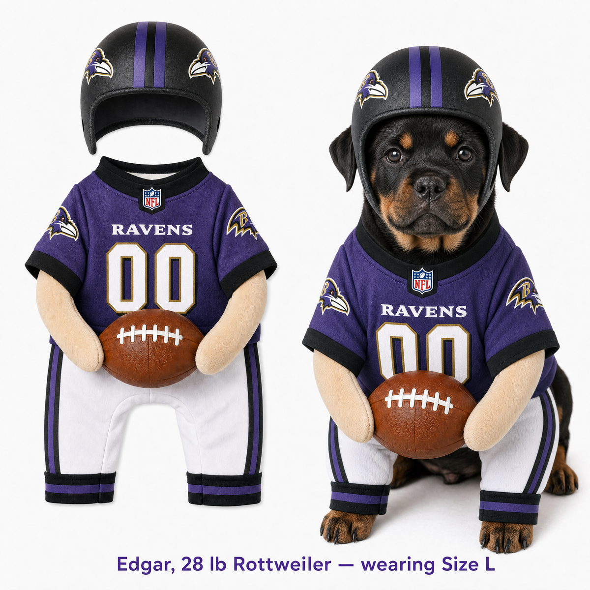 NFL Football Dog Costume™