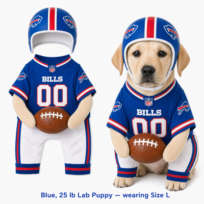 NFL Football Dog Costume™