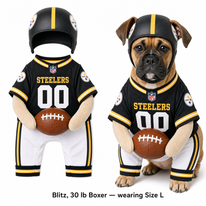 NFL Football Dog Costume™