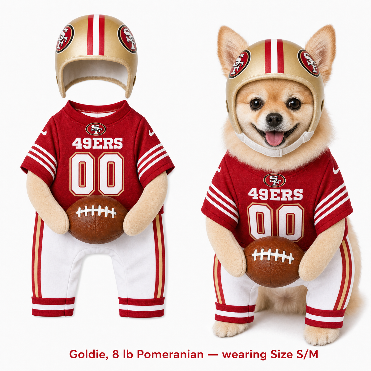 NFL Football Dog Costume™