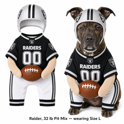 NFL Football Dog Costume™