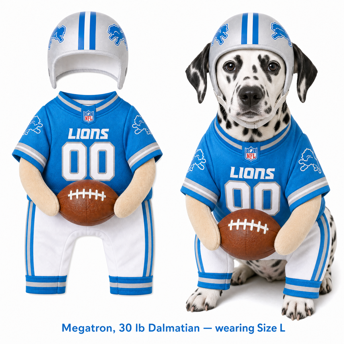 NFL Football Dog Costume™