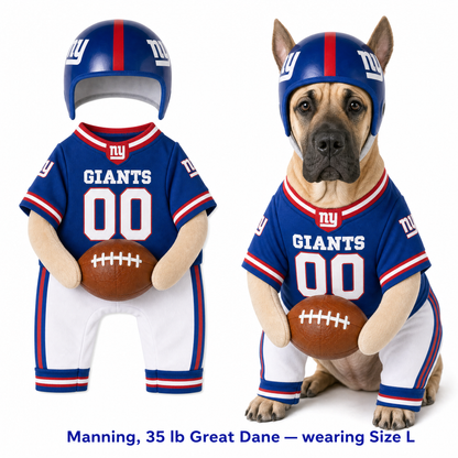 NFL Football Dog Costume™