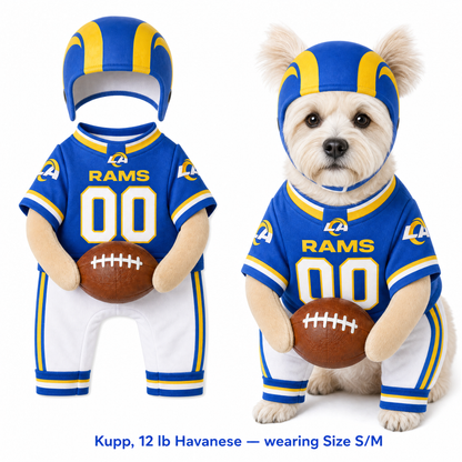 NFL Football Dog Costume™
