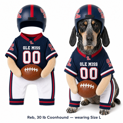 College Football Dog Costume™