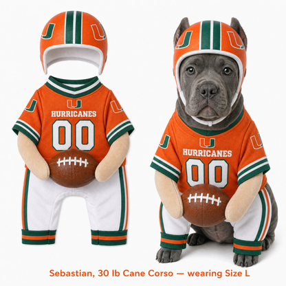 College Football Dog Costume™