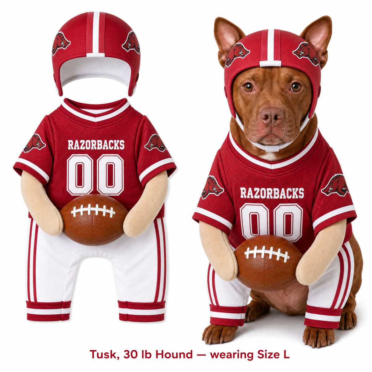College Football Dog Costume™