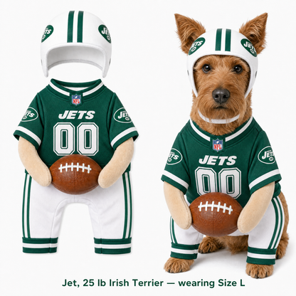 NFL Football Dog Costume™