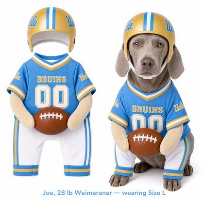 College Football Dog Costume™