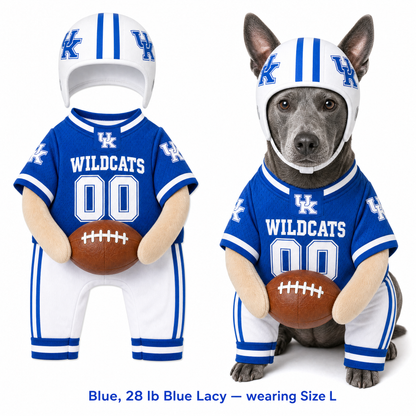 College Football Dog Costume™
